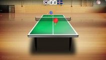 乒乓球世界巡回赛: Table Tennis Gameplay