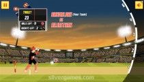 CPL板球锦标赛: Gameplay Cricket