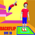 Backflip Dive 3D