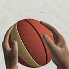 basketball simulator