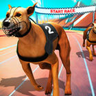 crazy dog racing