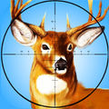 deer hunter 2017