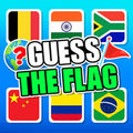 guess the flag