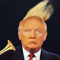 trump donald